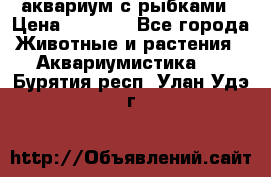 аквариум с рыбками › Цена ­ 1 000 - Все города Животные и растения » Аквариумистика   . Бурятия респ.,Улан-Удэ г.